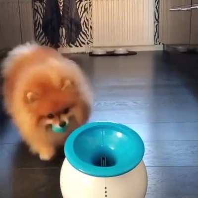 Hypawactive