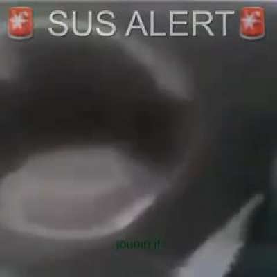 Sus