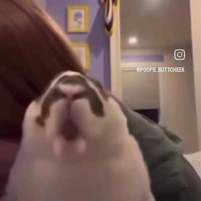 Ohmahgawhd wunker
