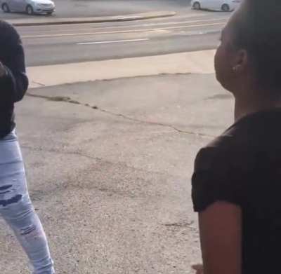 Toad from Nintendo Assists in Breaking Up a Fight Between Two Girls