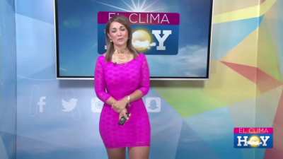 "Elena Villatoro (El Clima Hoy: Meteorologist)"