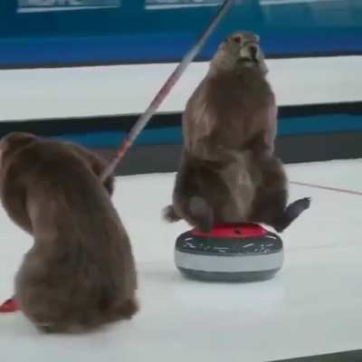 The most Canadian thing you&rsquo;ll see all year