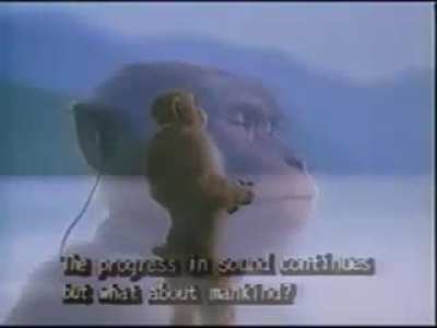 Berserk Monkey