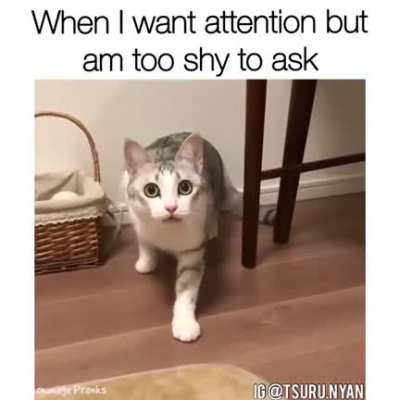 Touch tha floor
