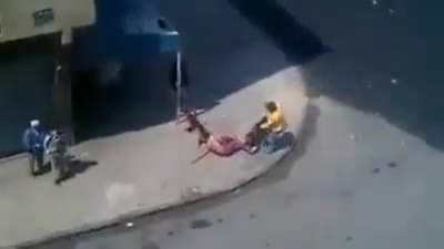 A Man Is Throwing Objects At 2 Dogs. The Dogs Do Not Approve.