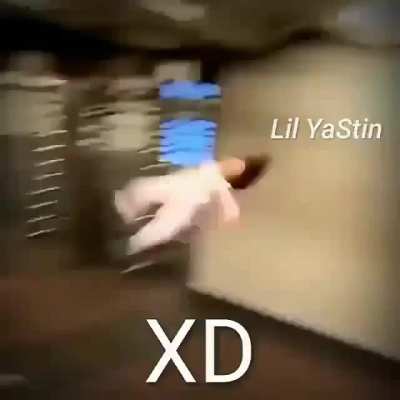 XD