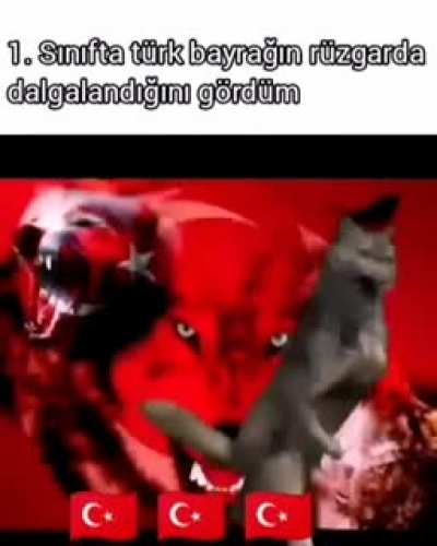 Trtrtrtrtr