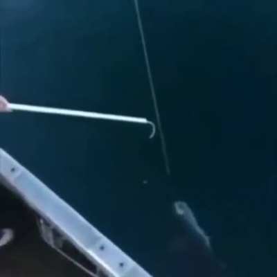 Nobody: Americans fishing: