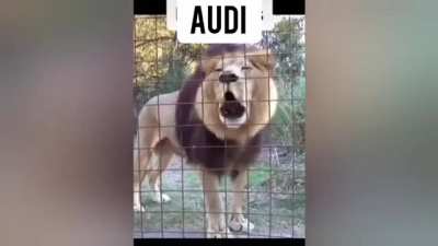 Audi vs BMW