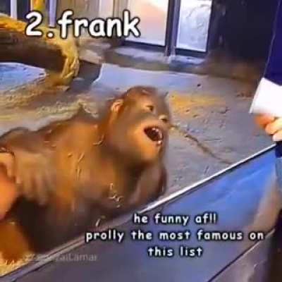 Fran😎😎😎