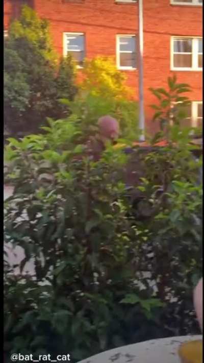 Couple taunts Jeff Bezos