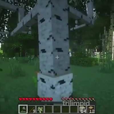 Minecraft with modding