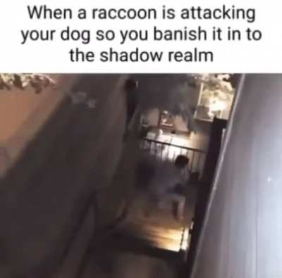 r(accoon)ule