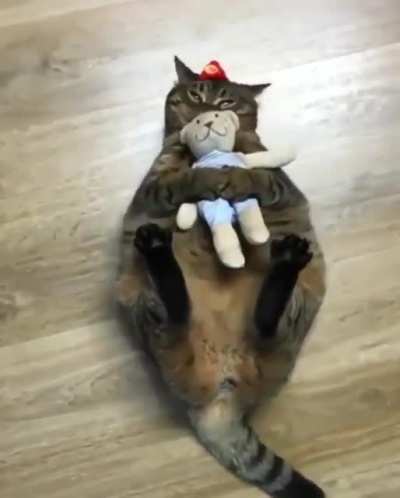 The cat has a little hat! Ahh!