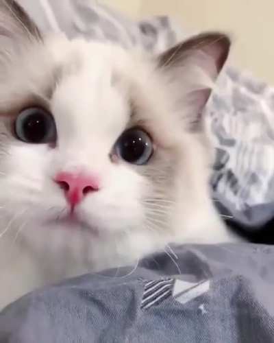 Surprise!