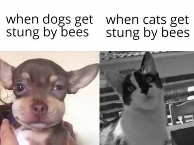 Informative