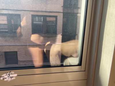 Window for the neighbor, mirror for us