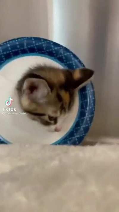 Ahhhh