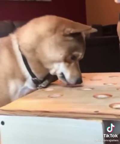 Bro it&rsquo;s just a hotdog