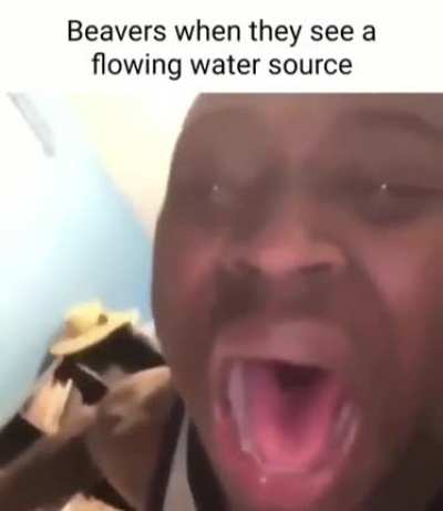 Dam