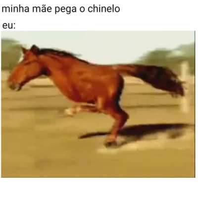 Titulo