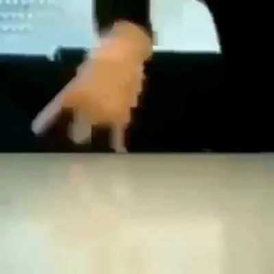 /dance