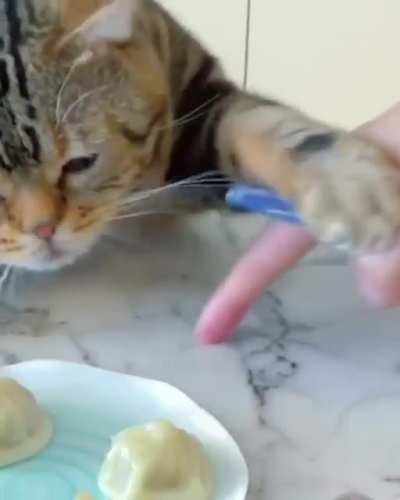 when you love dumplings very much
