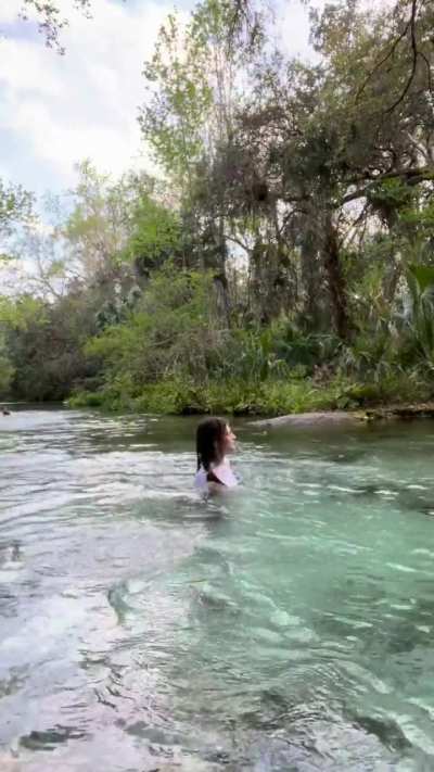Wet