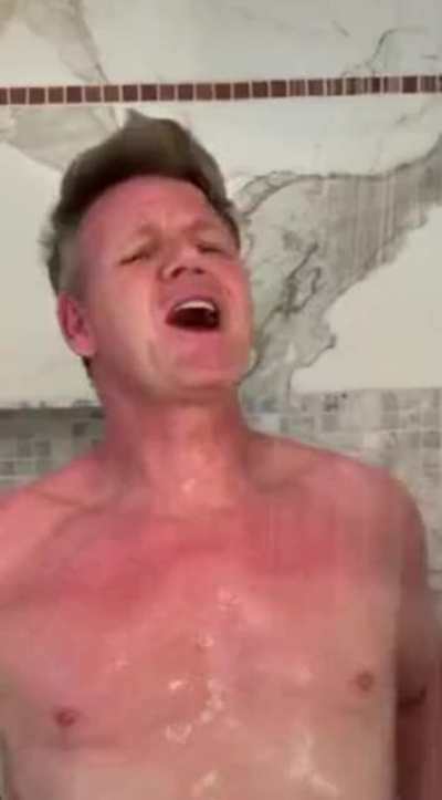 cursed_ lamb_zone