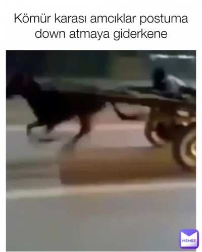 Orjinal i&ccedil;erik