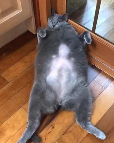 Absolute Unit