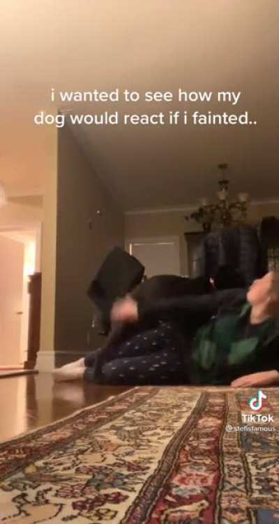 Ayo