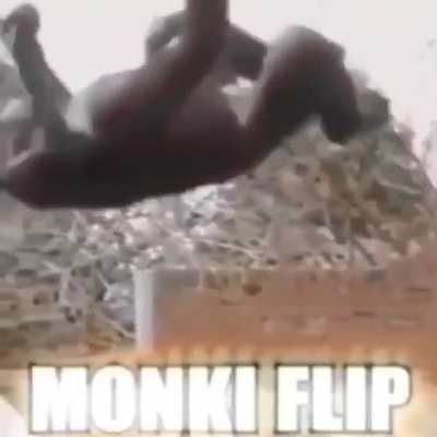 0_0