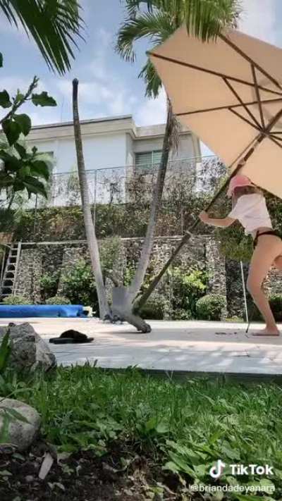 Aqu&iacute; est&aacute; el v&iacute;deo de la anterior foto