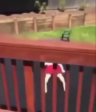Double headshot execution
