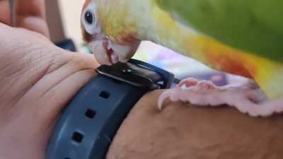 Such an interesting watch...