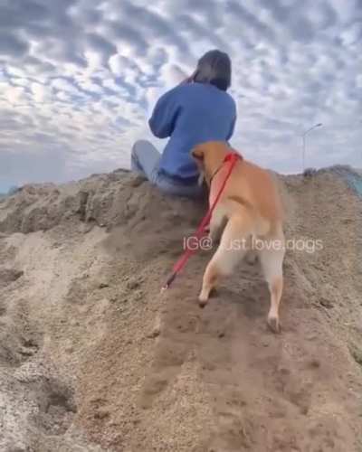 Just gonna dig where you&rsquo;re sitting