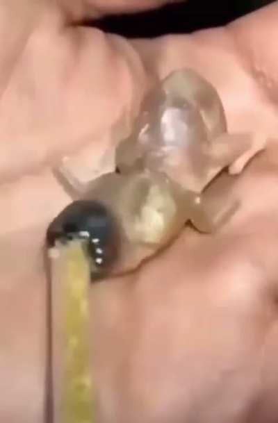 This thing