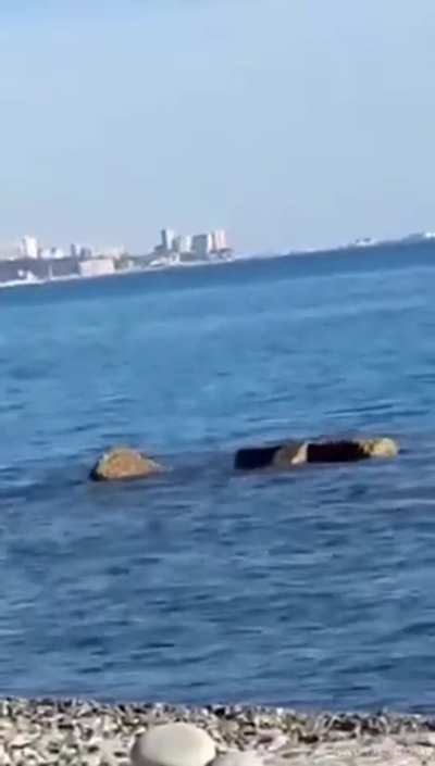 Girl Get Tagteamed on Beach in Public