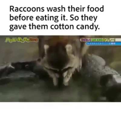 Did him dirty