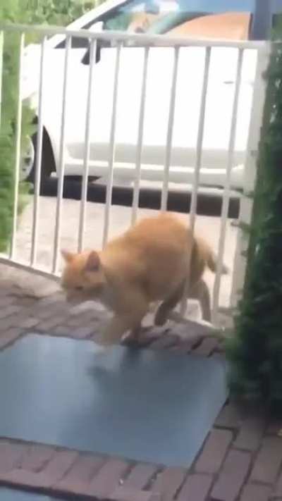 A small miscalculation