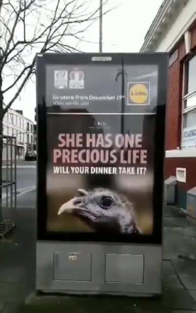 Go vegan!