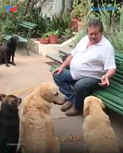Un se&ntilde;or dandole de comer a sus perros y sus perros le hacen caso.