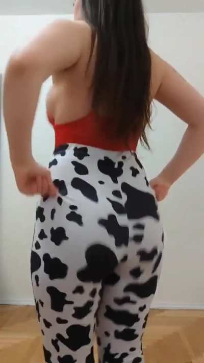 Cow flares 😀