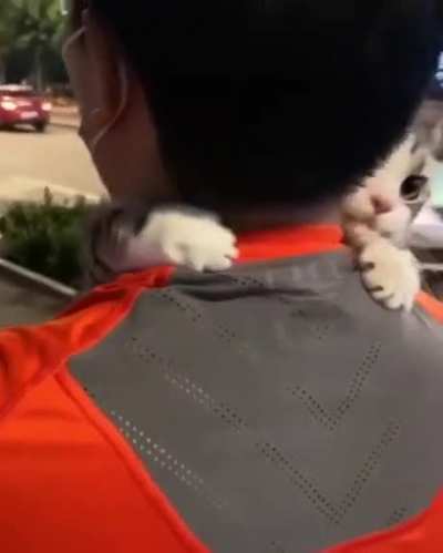 "I'm afraid to go out Dad!"