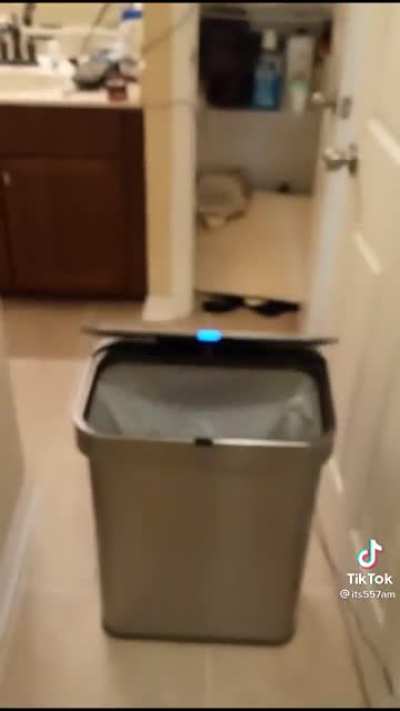 Sentient Trash Can
