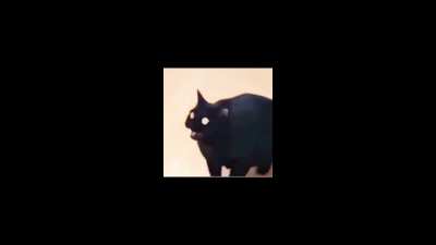 DaBaby Cat