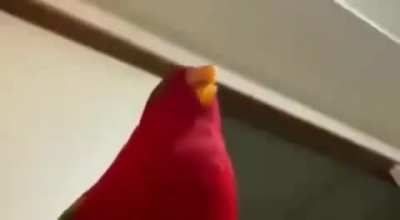 Ugo