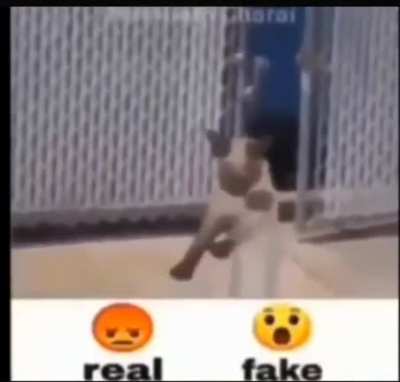 real or fake