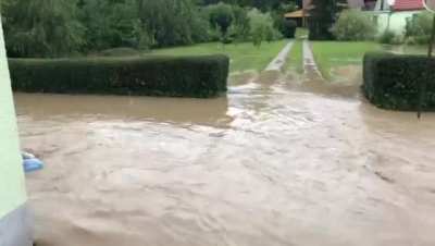 Sommer in Nieder&ouml;sterreich